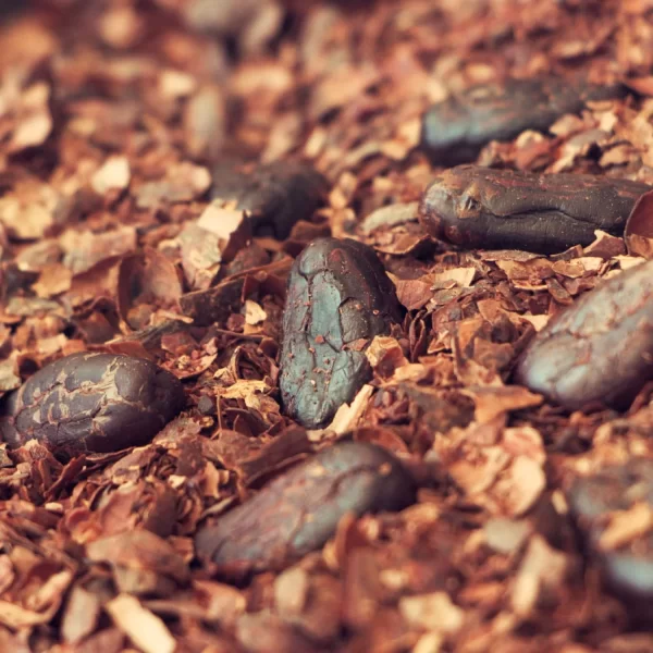 Gallery-2_910f0a3e-1f5f-4864-940f-be526a2f9331 Gallery-2_910f0a3e-1f5f-4864-940f-be526a2f9331