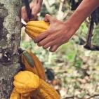 Gallery-2_92988f25-2970-4ecc-b5a6-313b6647e0fc