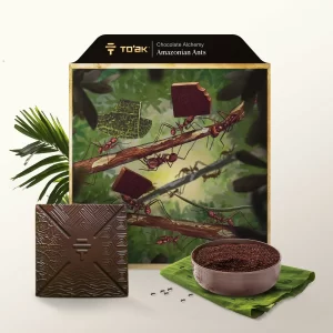 Amazonian Ants - Alchemy