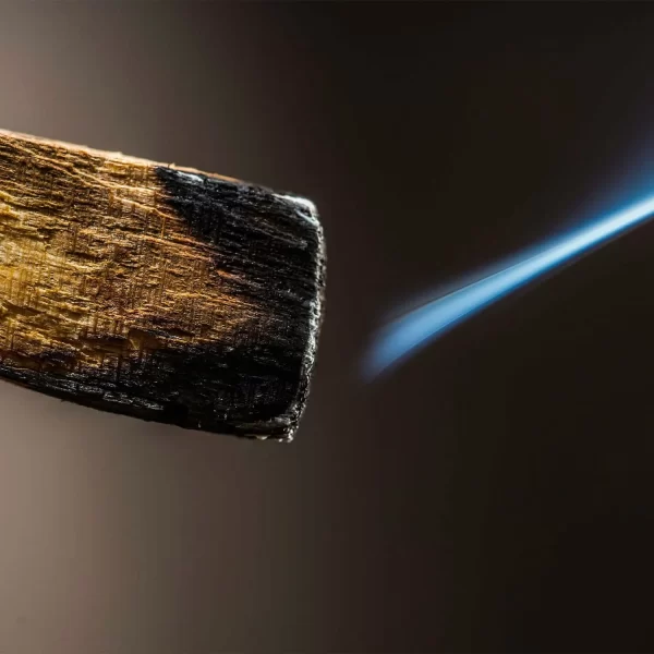 Gallery-4_9ee8cfd4-cdb7-4e11-941a-44ef0f0e67f5